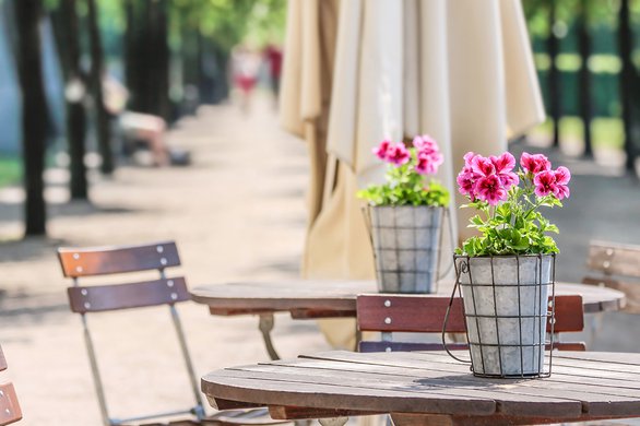 Garden-restaurant-in-the-park